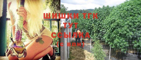 ешки Аркадак
