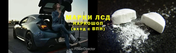 ешки Аркадак