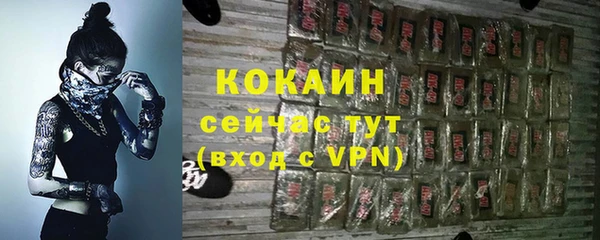 твердый Алексеевка