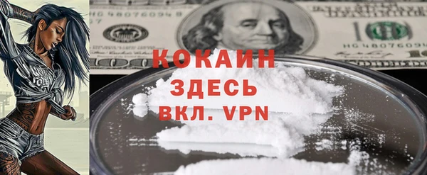 ешки Аркадак
