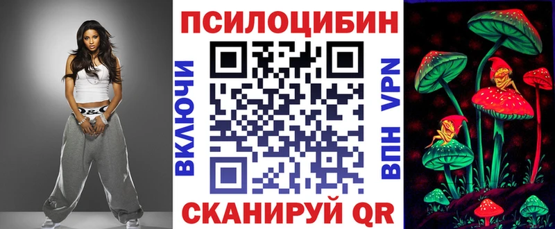 купить наркоту  Пушкино  Псилоцибиновые грибы GOLDEN TEACHER 